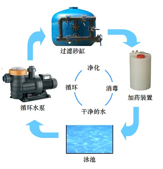 泳池水处理系统